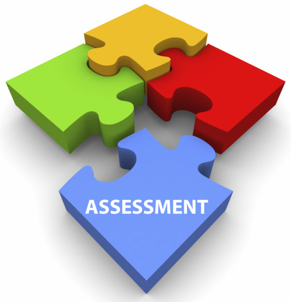 Assessment Puzzle NZASE assessment-puzzle-nzase
